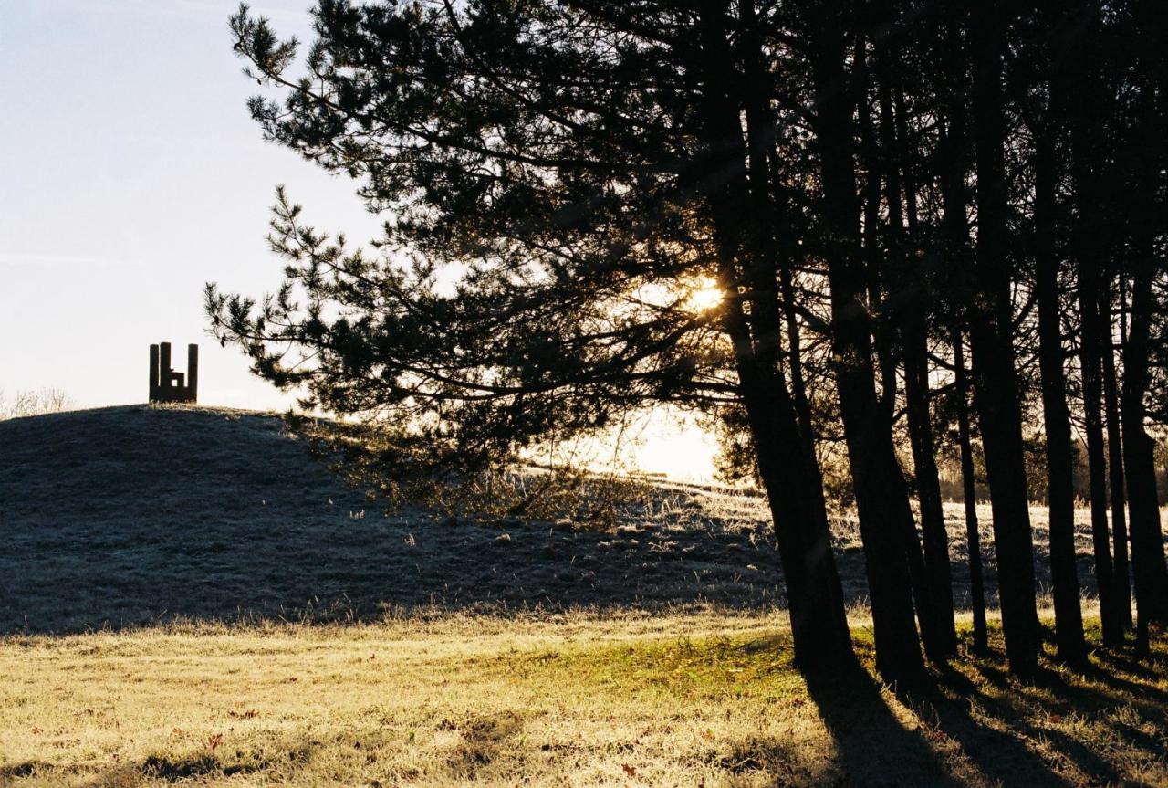 Agluonenai Park Apartments Dış mekan fotoğraf