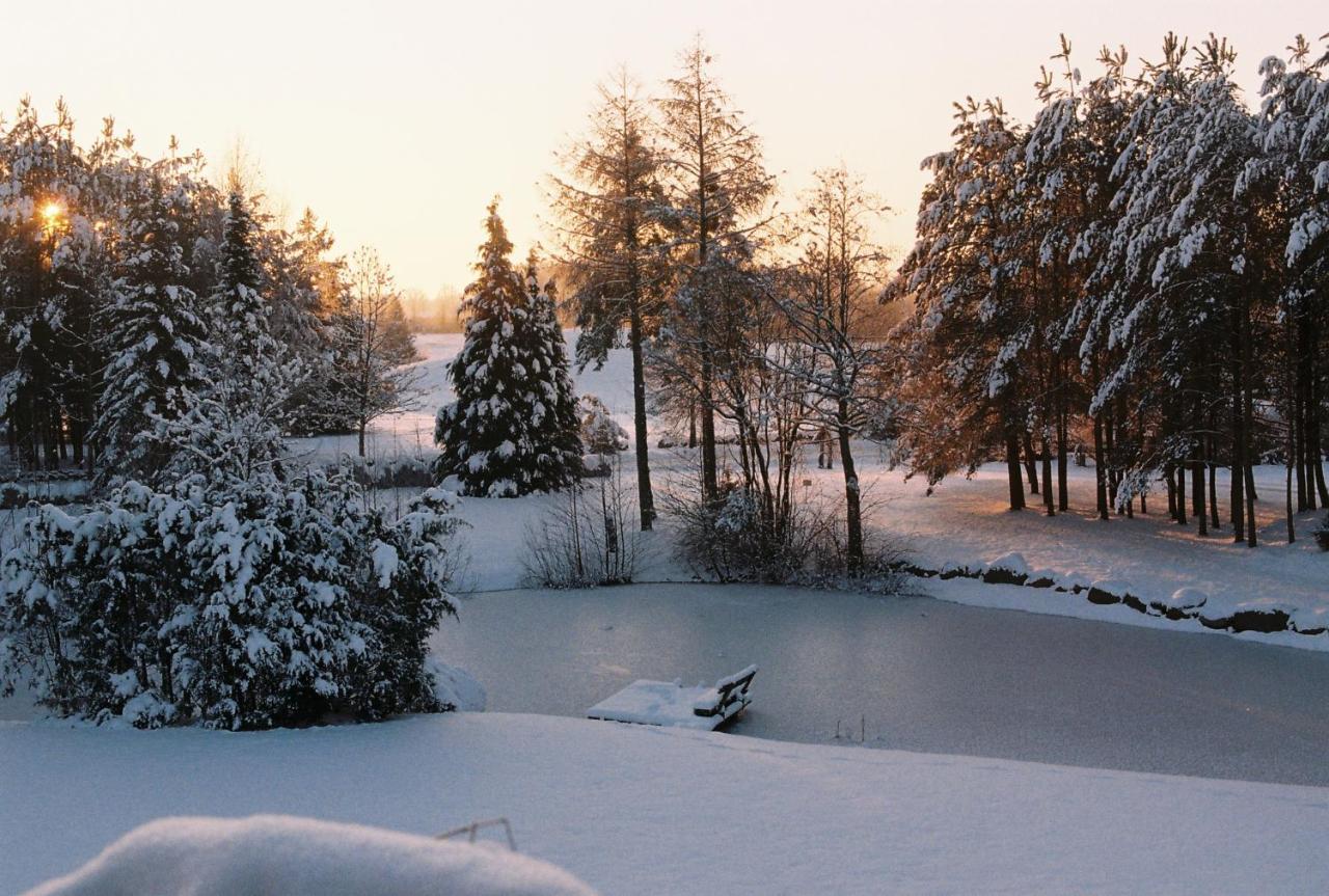 Agluonenai Park Apartments Dış mekan fotoğraf